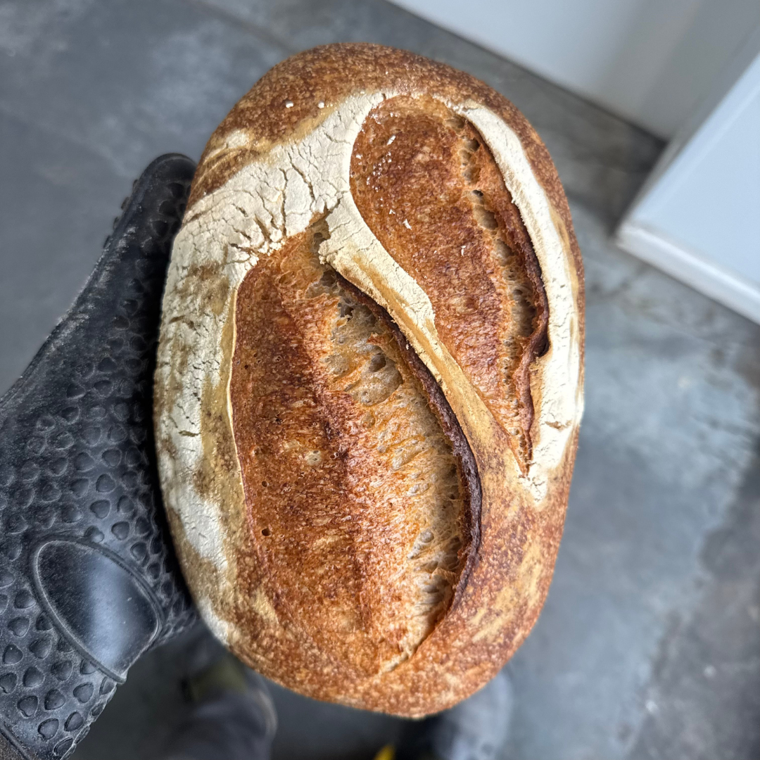 EINKORN ANCIENT GRAIN SOURDOUGH - PRE ORDER