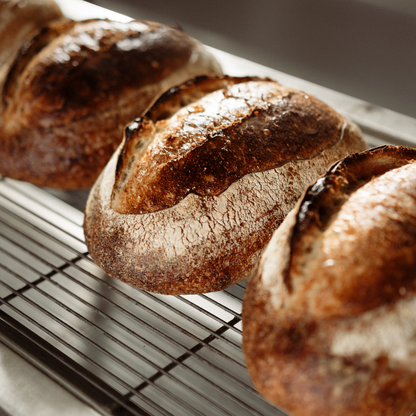 COUNTRY SOURDOUGH