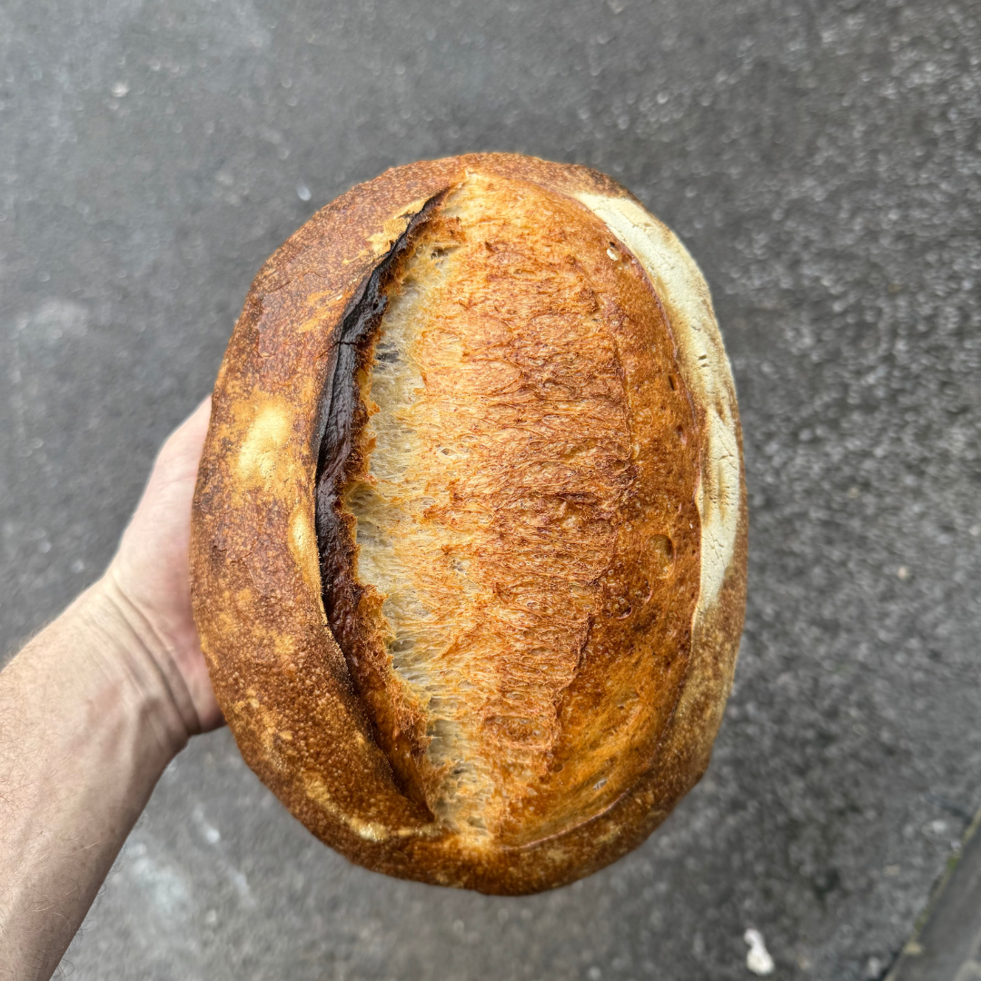 COUNTRY SOURDOUGH - PRE ORDER