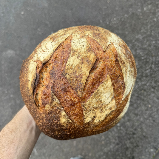 WHOLEWHEAT SOURDOUGH PRE ORDER
